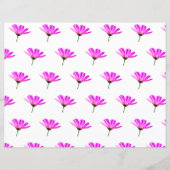 Pink Daisy (Voorkant)