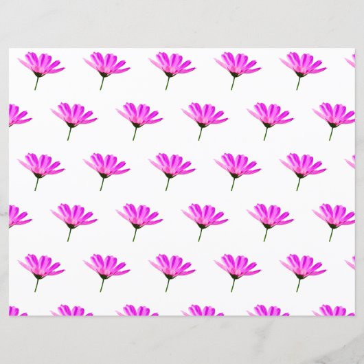 Pink Daisy (Voorkant)