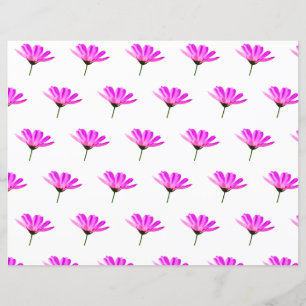 Pink Daisy