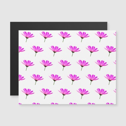 Pink Daisy (Voorkant / Achterkant)