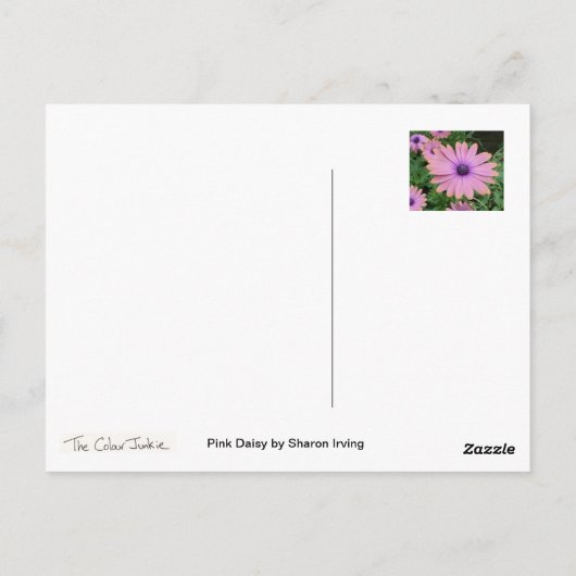 Pink Daisy Briefkaart (Achterkant)