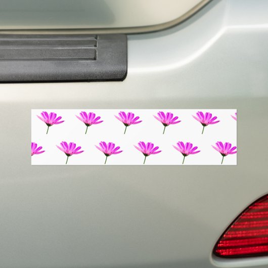 Pink Daisy Bumpersticker (Op auto)