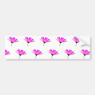 Pink Daisy Bumpersticker