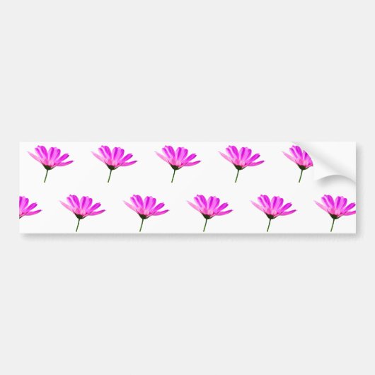 Pink Daisy Bumpersticker (Voorkant)