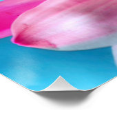 Pink Daisy Flower Bloom Perfect Poster (Hoek)