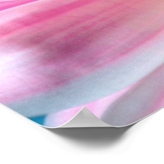 Pink Daisy Flower Bloom Poster (Hoek)