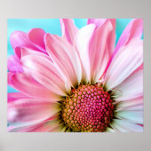 Pink Daisy Flower Bloom Poster (Voorkant)