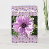 Pink Daisy Flower Floral Congatulation art Kaart (Voorkant)