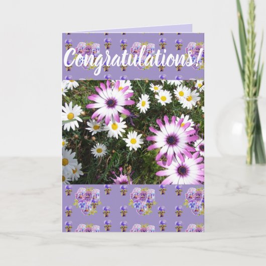 Pink Daisy Flower Floral Congatulation art Kaart (Voorkant)