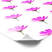 Pink Daisy Foto Afdruk (Hoek)