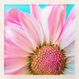 Pink Daisy Glazen Onderzetter