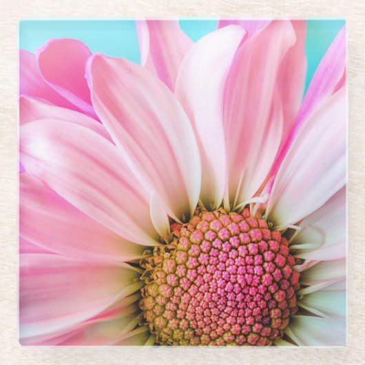 Pink Daisy Glazen Onderzetter (Voorkant)