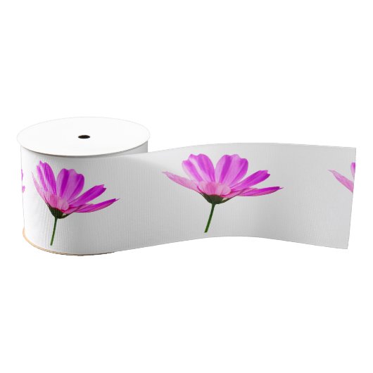 Pink Daisy Grosgrain Lint (Spoel)