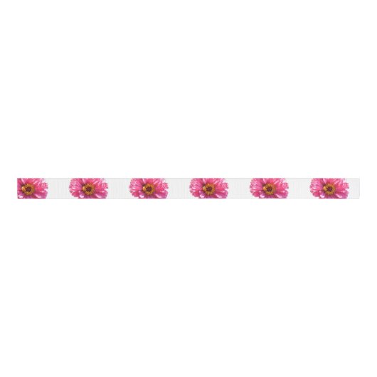 Pink Daisy Grosgrain Lint (Voorkant)