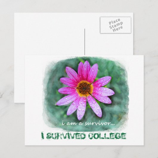 Pink Daisy Ik ben een Survivor Briefkaart (Voorkant / Achterkant)