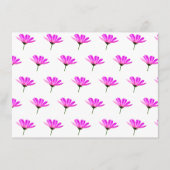 Pink Daisy Informatiekaartje (Voorkant)