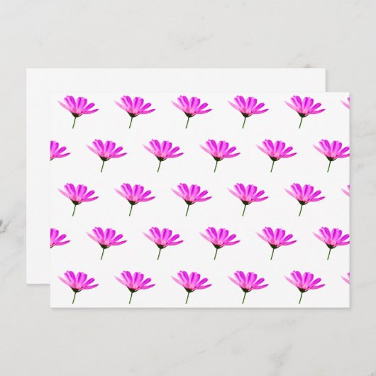 Pink Daisy Informatiekaartje (Voorkant / Achterkant)