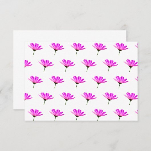 Pink Daisy Informatiekaartje (Voorkant / Achterkant)