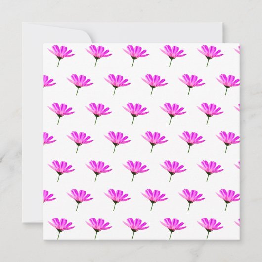 Pink Daisy Kaart (Voorkant)