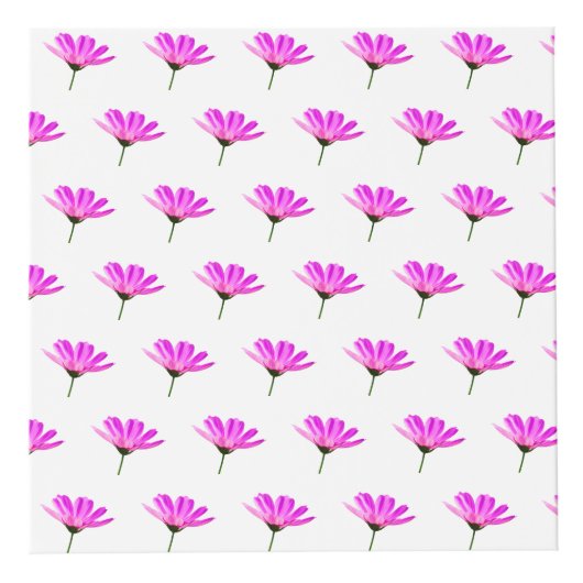 Pink Daisy Kubus (Voorkant)