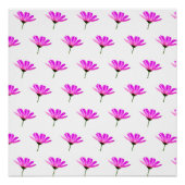 Pink Daisy Perfect Poster (Voorkant)