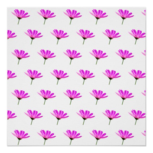 Pink Daisy Perfect Poster (Voorkant)