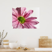 Pink Daisy Poster (Keuken)