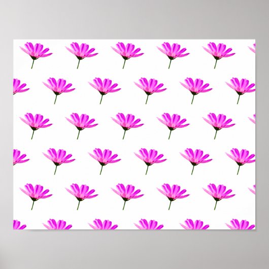 Pink Daisy Poster (Voorkant)