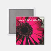 Pink Daisy Save the Date Magnet (Voorkant / Achterkant)