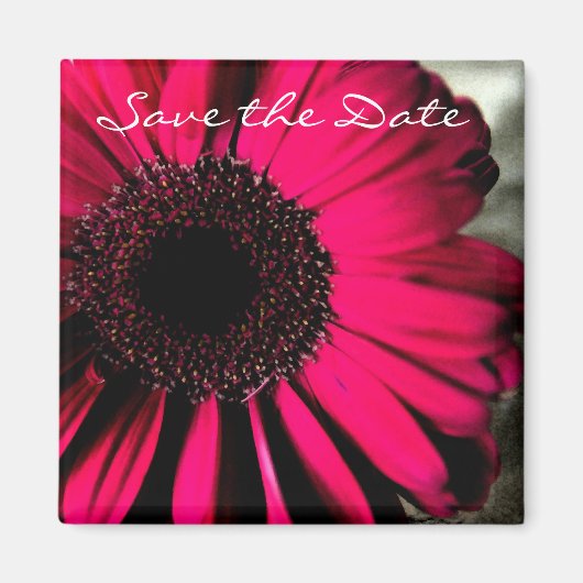 Pink Daisy Save the Date Magnet (Voorkant)