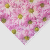 Pink Daisy Tissuepapier (Detail)