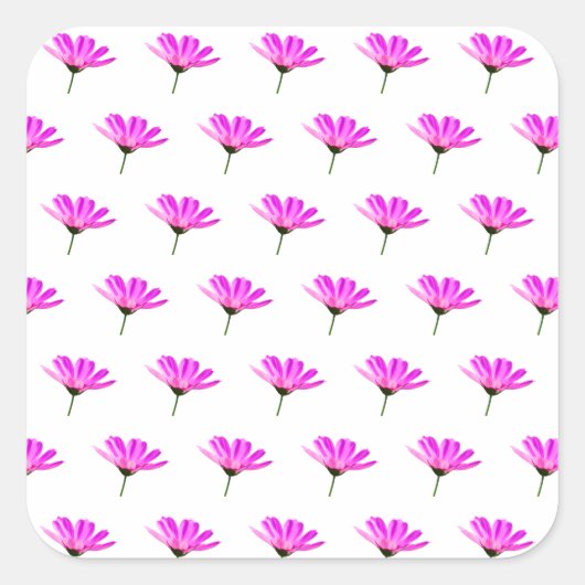 Pink Daisy Vierkante Sticker (Voorkant)