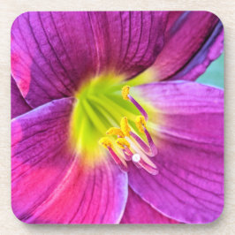 Pink Daylily Bloom Floral Bier Onderzetter