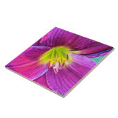 Pink Daylily Bloom Floral Tegeltje (Zijkant)