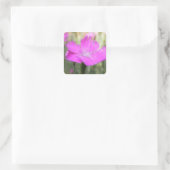 Pink Dianthus Bloom Vierkante Sticker (Tas)