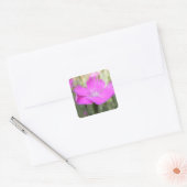 Pink Dianthus Bloom Vierkante Sticker (Envelop)