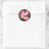 Pink Dogwood Bloom Ronde Sticker (Tas)