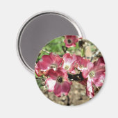 Pink Dogwood Flower Fotografie Magneet (Voorkant / Achterkant)