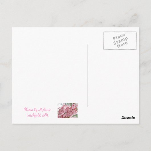 Pink Dogwoods Briefkaart (Achterkant)