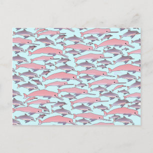 Pink Dolphin Pattern Briefkaart