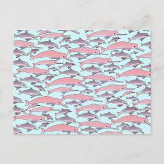 Pink Dolphin Pattern Briefkaart