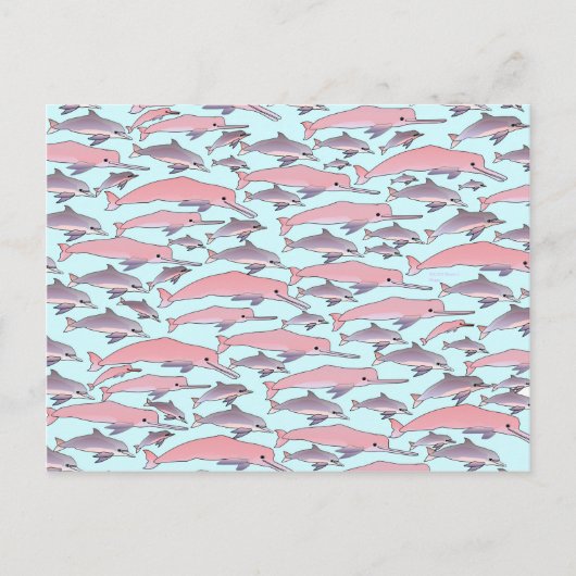 Pink Dolphin Pattern Briefkaart (Voorkant)