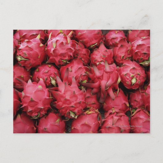 Pink Dragonfruit gestapeld samen Briefkaart (Voorkant)