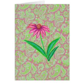 PINK ECHINACEA PAISLEY