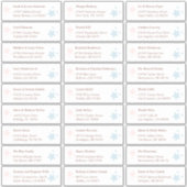 Pink en Blue Stars Gastenkamers Adresetiketten Sticker (Voorkant)