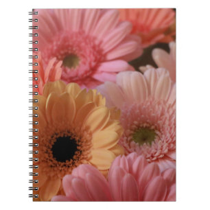 PINK- EN GEEL-STROMEN IN DICHTE FOTOGRAFIE NOTITIEBOEK