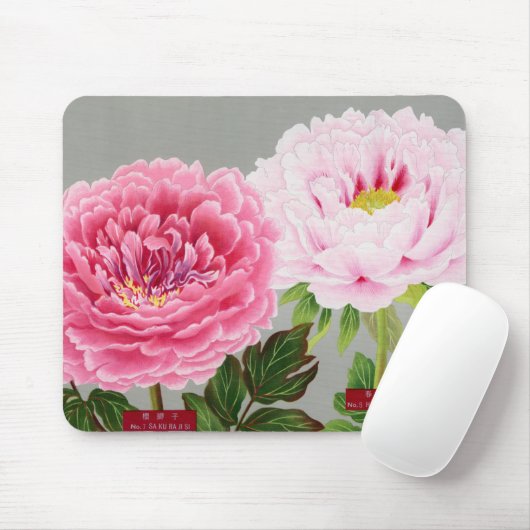 PINK EN GREEN JAPANESE STROMEN Mousepad Muismat (Met muis)