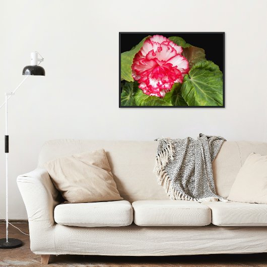 Pink en White Begonia Floral Glossy Perfect Poster