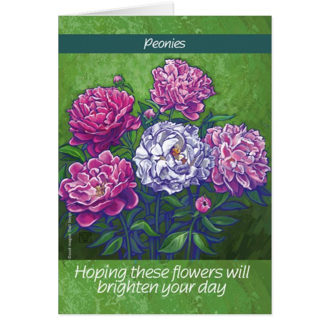 PInk en White Peony Flowers (Voorkant)