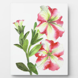 Pink en White Petunias Floral Art Fotoplaat